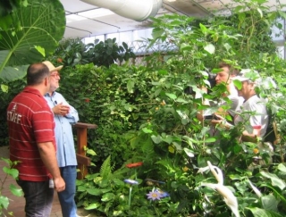 Riprese Programma Melaverde